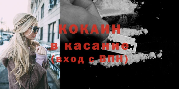 гидра Михайловск