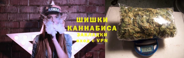гидра Михайловск