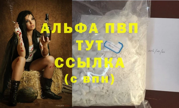 гидра Михайловск